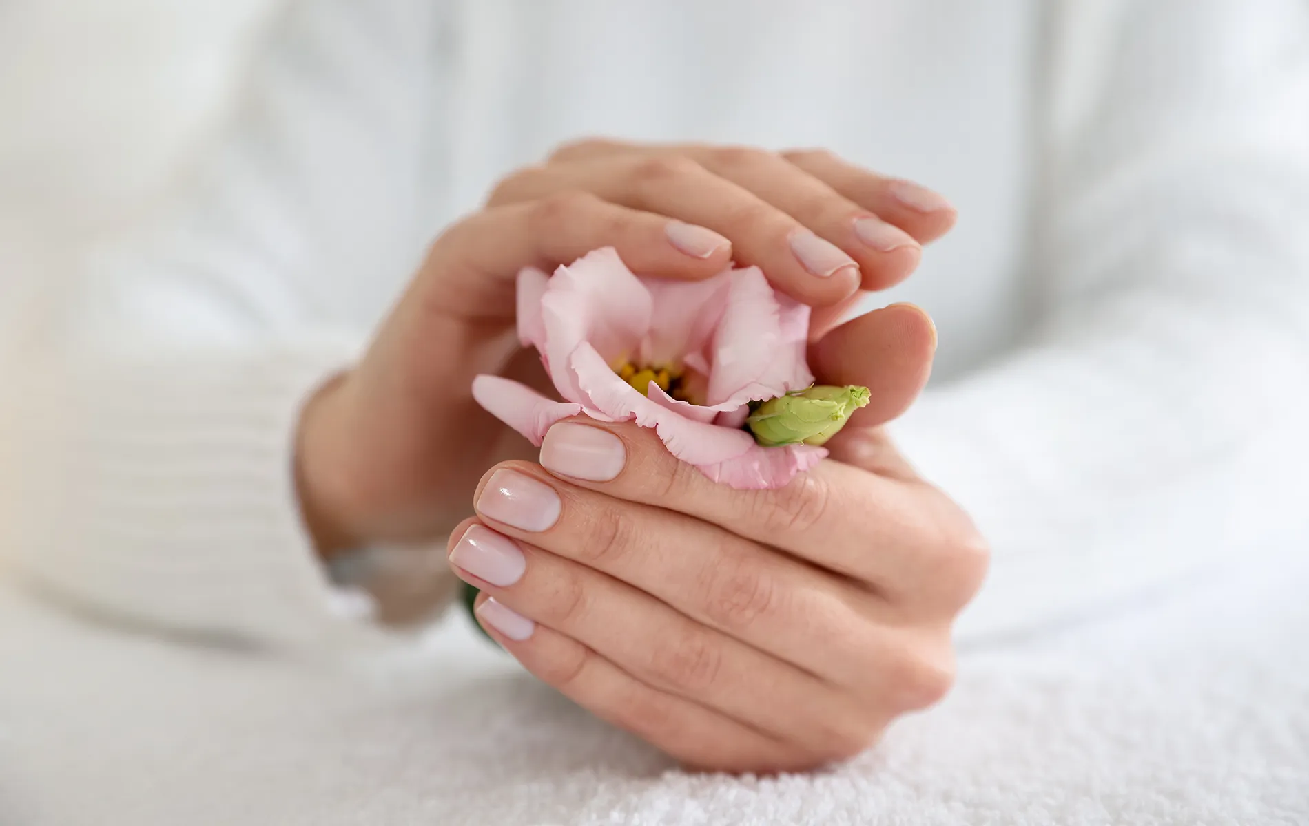 J's Blossom Nail And Spa